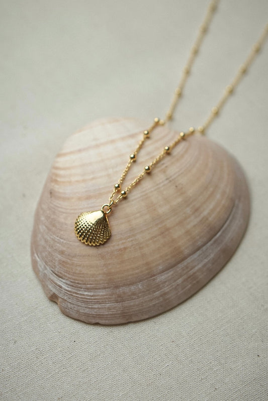 Kette mit Muschelanhänger BEACHY liegend auf Muschel