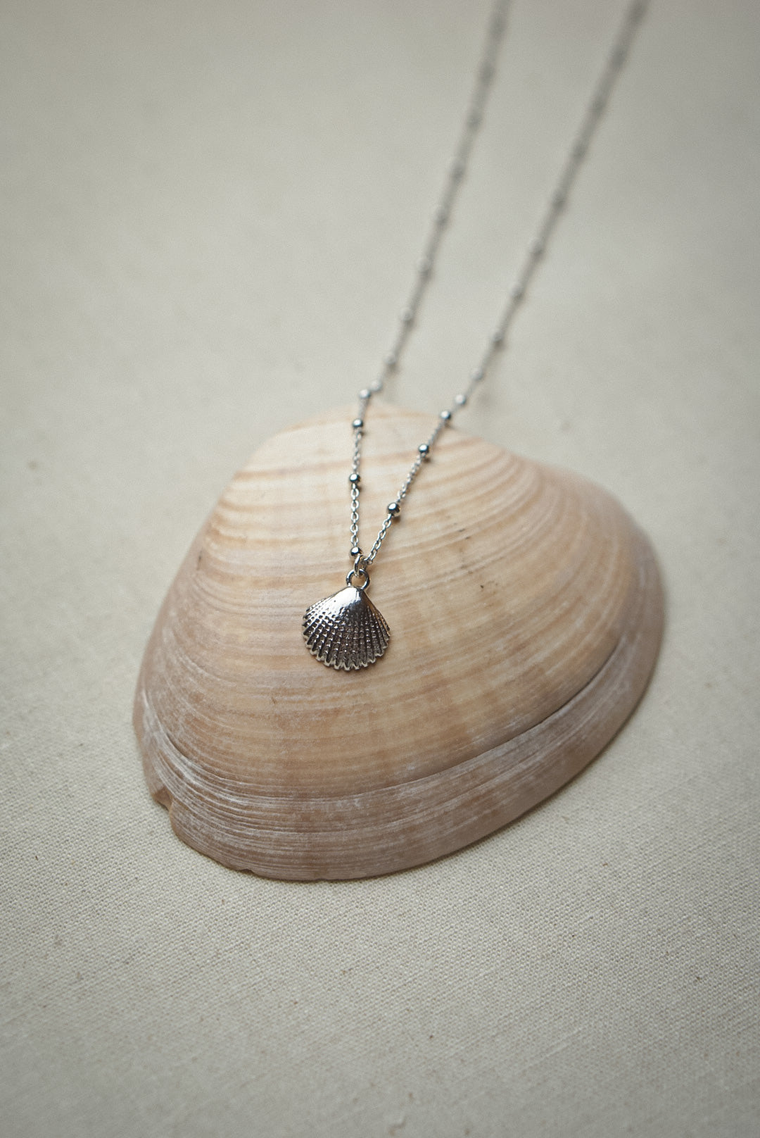 Kette BEACHY - MoonGypsea silber auf Muschel